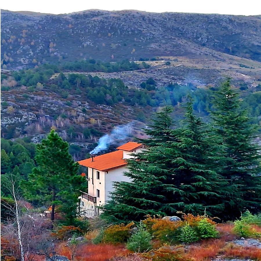 الشقق الفندقية لا كومبريسيتافي  La Ponderosa Cumbrecita المظهر الخارجي الصورة